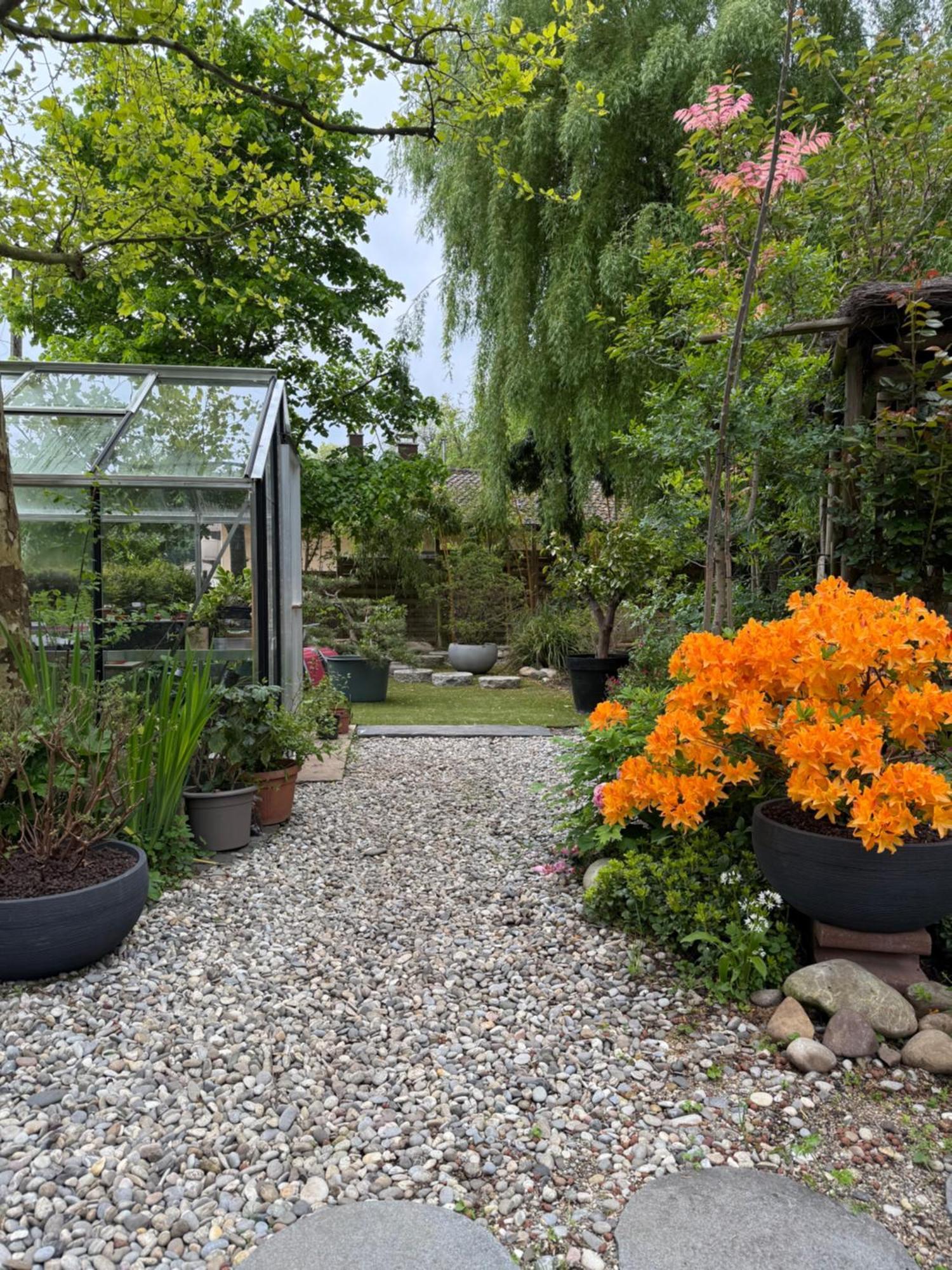 Le Jardin De La Tuilerie Alsace Hotel Pfastatt Kültér fotó