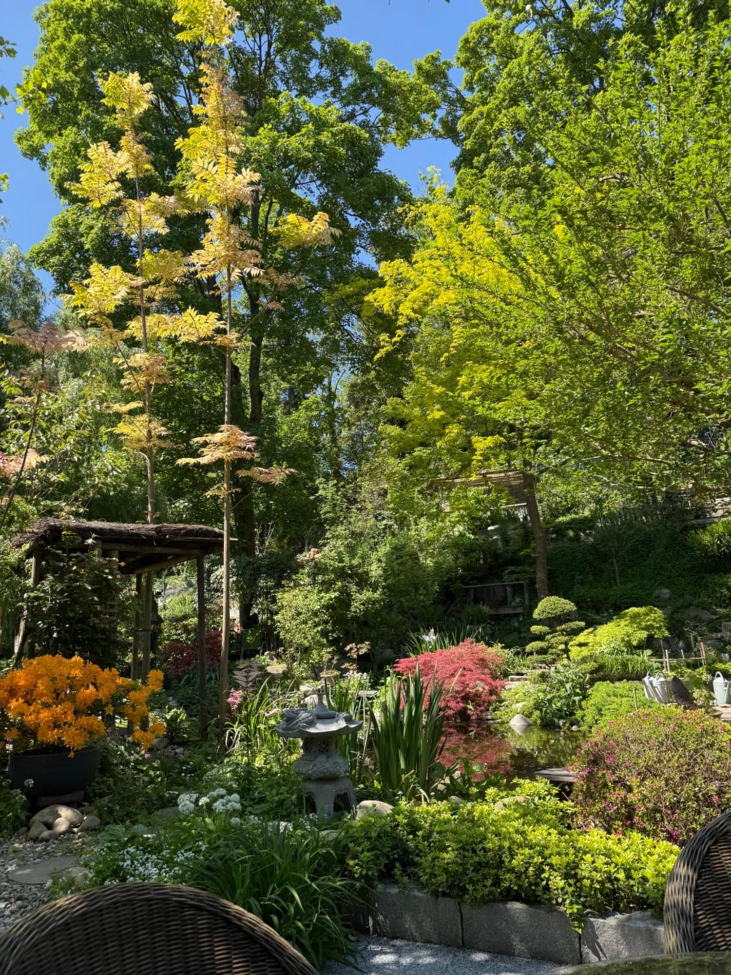 Le Jardin De La Tuilerie Alsace Hotel Pfastatt Kültér fotó